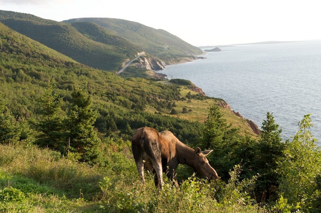 Cabot Trail in Cape Breton Highlands National Park near Cheticamp