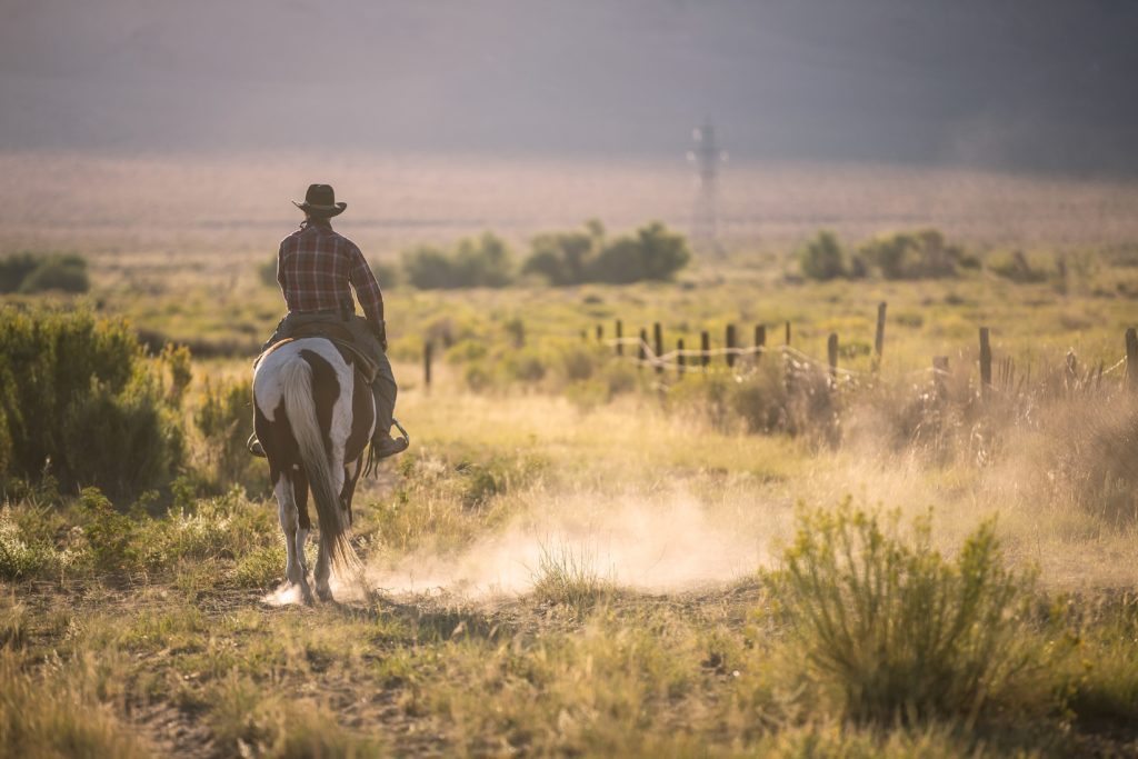 10 Great Reason to Visit Texas | Complete North America