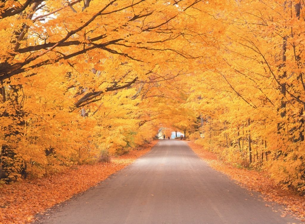 Stowe fall foliage