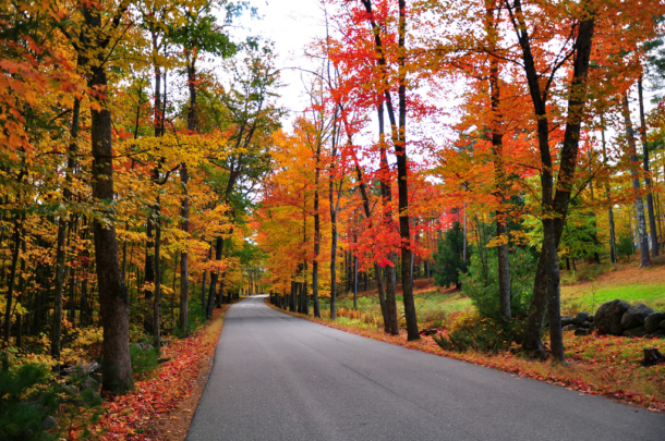 escorted tours new england in the fall