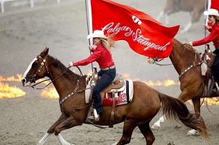 Calgary Stampede Adventure Tour