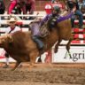 Rodeo tournament - bull riding