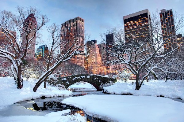 Central Park in the snow, New York