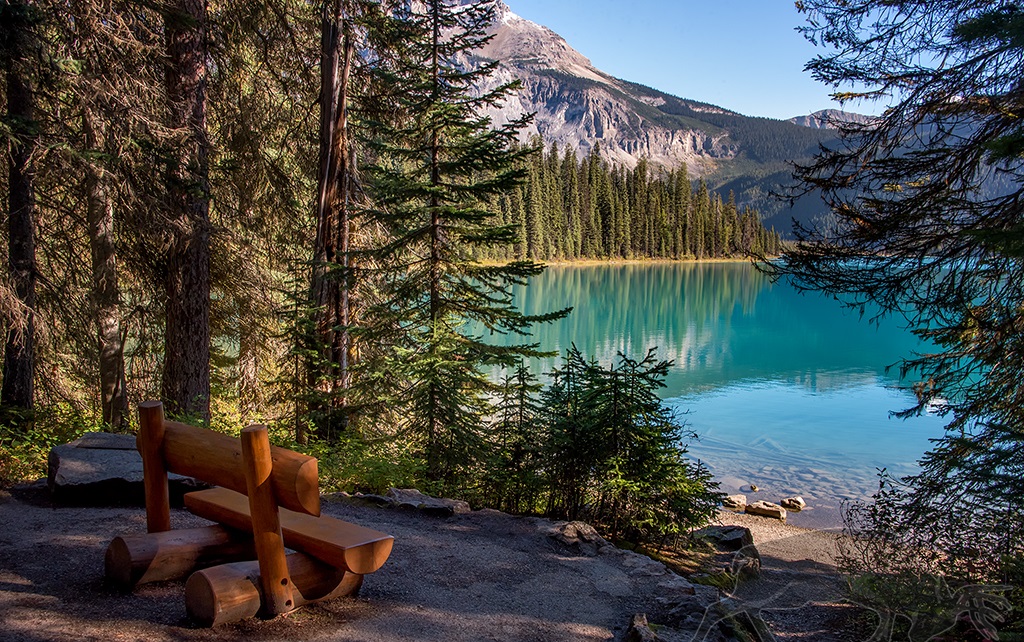 Emerald Lake Trail at Yoho National Park