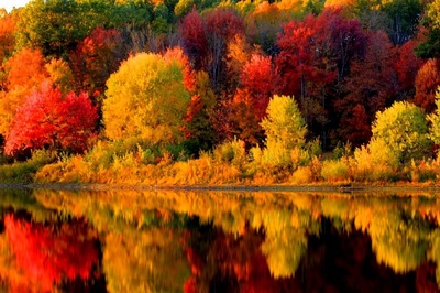 Autumn Colours in New England