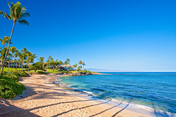 Beach in Maui, Hawaii