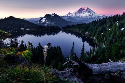 Mount Rainier at sunrise