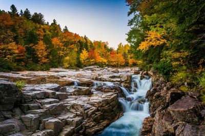 New England fall foliage and river