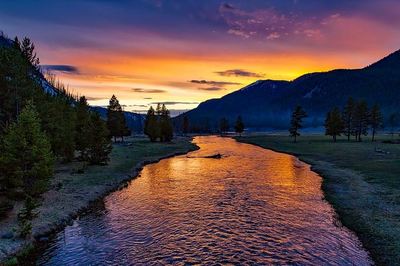 Yellowstone National Park at dusk