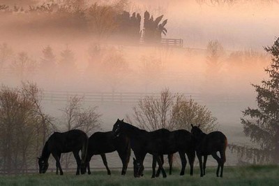 Bluegrass, Kentucky